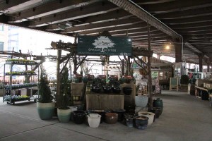 View of Urban Garden Center from the entrance