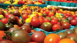 Keeping Your Greenhouse Vegetables And Fruits Safe: Focus On Soilless And Hydroponics Systems
