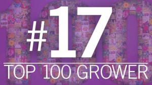 2016 Top 100 Growers: Matsui Nursery (No. 17t)