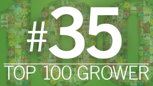 2016 Top 100 Growers: Plant Marketing (No. 35)