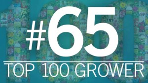 2015 Top 100 Growers: Corso’s Perennials (No. 65)