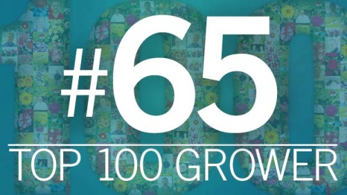 2015 Top 100 Growers: Corso’s Perennials (No. 65)