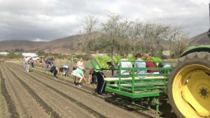 Cal-Poly Students Seek Continued Industry Support To Save Horticulture Facilities, Land