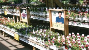 Retailer To Grower: It’s Time To Offer Services  To Local Garden Centers, Too