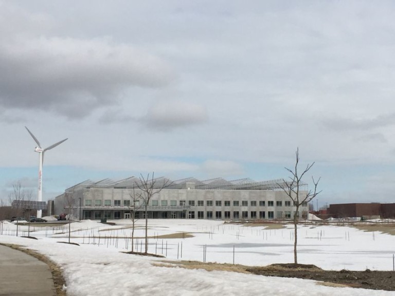 Nexus Greenhouse Projects