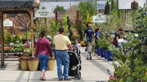 Green Industry Poised for Continued Economic Growth in 2017