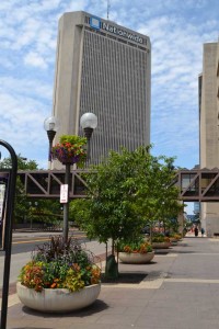 Oakland Nursery Streetscape Plantings