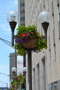 Oakland Nursery Streetscape Plantings