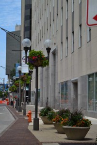 Oakland Nursery Streetscape Plantings
