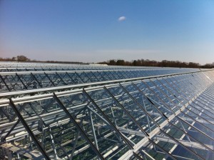 Nexus Greenhouse Projects