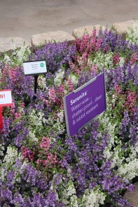 A bench sign selling attributes instead of price at Ball Seed.
