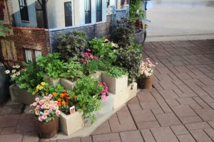 Cinder blocks as planters at Ball Horticultural Company