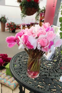 Ch. Morel's cut cyclamen bouquet