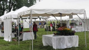 Perennial Container Combos And New Intros Shine At 2015 Darwin Perennials Day