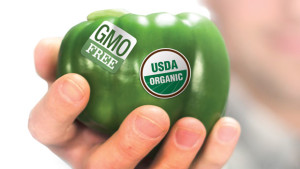 Study: Many Consumers  Unwilling To Waver On GMOs