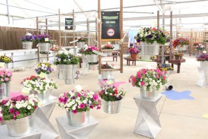 Floating gardens at Syngenta