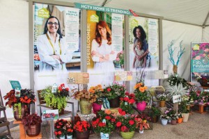 HGTV Home Plant Collection