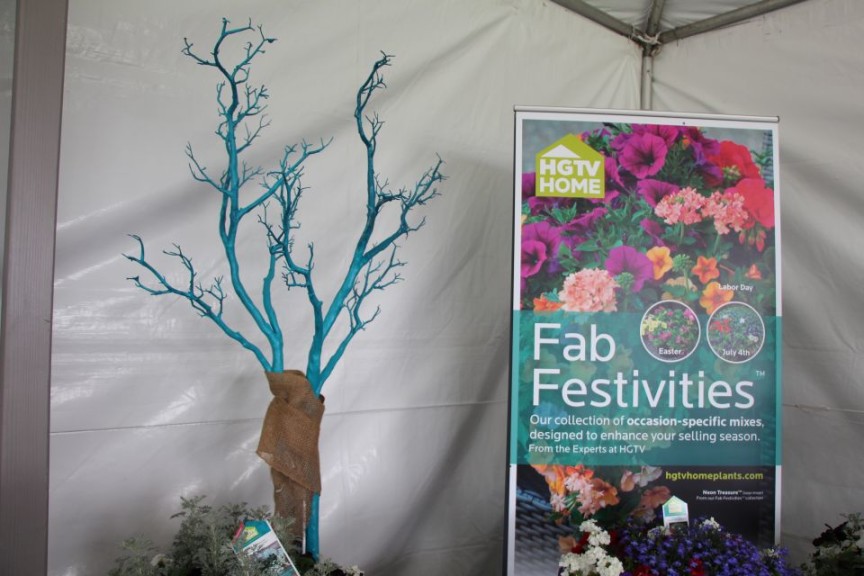 HGTV's painted branch