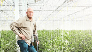 Houweling’s Tomatoes Is A Finalist For 2015 Operation Of The Year