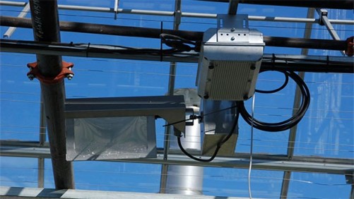 Talking Shop: Using Lighting  To Boost Beneficials