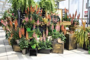 Pacific Plug & Liner