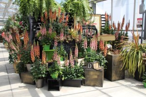 PP&L shows how to build a display with dimension