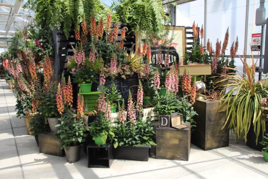 PP&L shows how to build a display with dimension