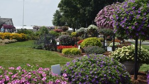 This Summer’s Can’t Miss Tours And Events