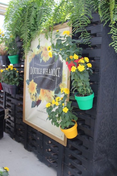 Pallet display given a polish at PP&L