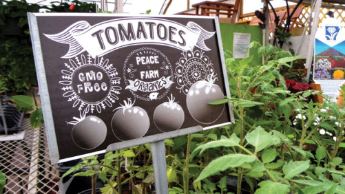 Parks Brothers Launches  Peace Farm Organics  Line Of Edibles