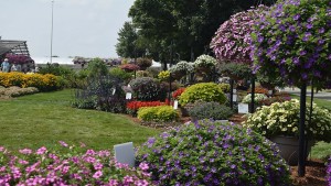 Learn Tips on Plant Production and Using Social Media at the Northeast Greenhouse Conference