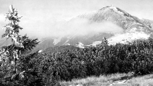 At Great Risk, Ernest Wertheim Helps Others To Escape Nazi Germany [Book Excerpt]