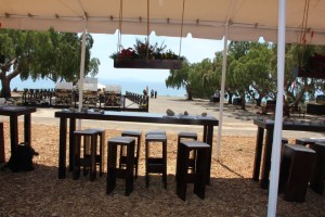 Suntory display with a floating planter