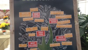Ideas From California Spring Trials Retailers Can Steal [Slideshow]