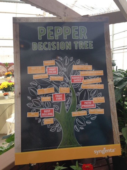 Syngenta decision tree for peppers