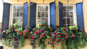 The Horticulturist  And The Decorator