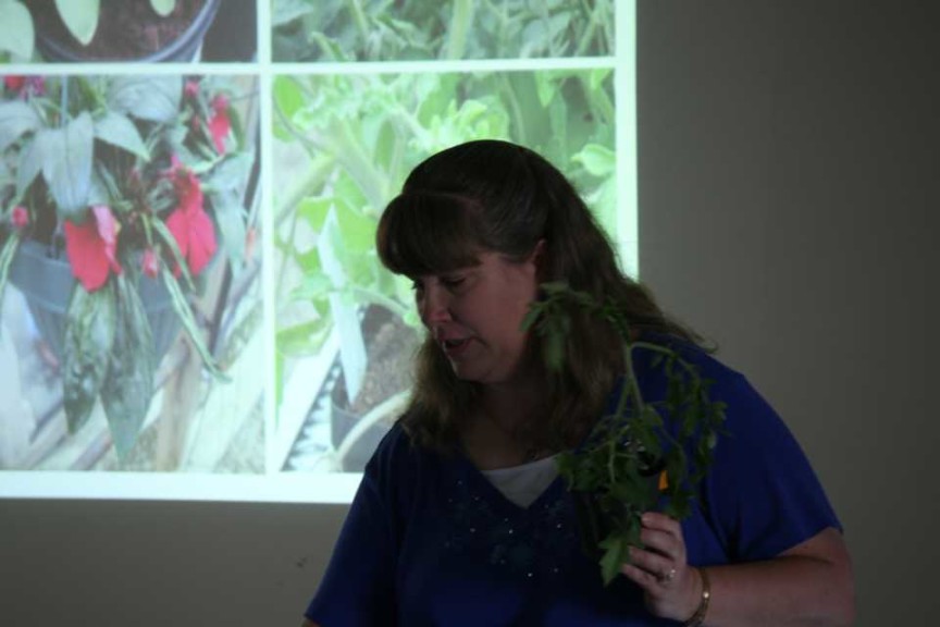 Cultivate'15 Greenhouse Learning Tour