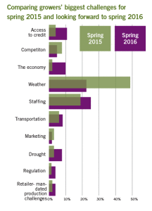 2015 Spring Crops Recap