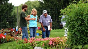 Cornell Floriculture Field Day To Take Place August 11