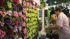 Registration Now Open For Cultivate’16