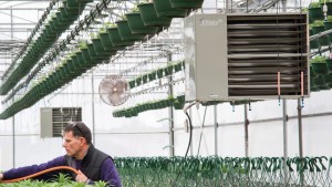Growers, Suppliers Discuss Energy Solutions for Controlled Environment Agriculture