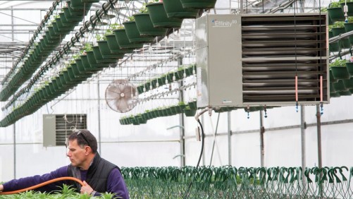 Growers, Suppliers Discuss Energy Solutions for Controlled Environment Agriculture