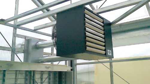 Higher Greenhouse Heating Costs Could Lead to Higher Vegetable Prices