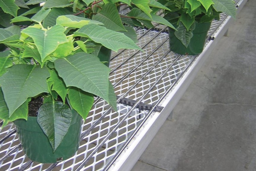 In Hot Pursuit Of Heating Trends 