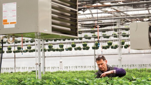 Is Your Greenhouse Heater Ready to Be Put to Bed for the Season?  