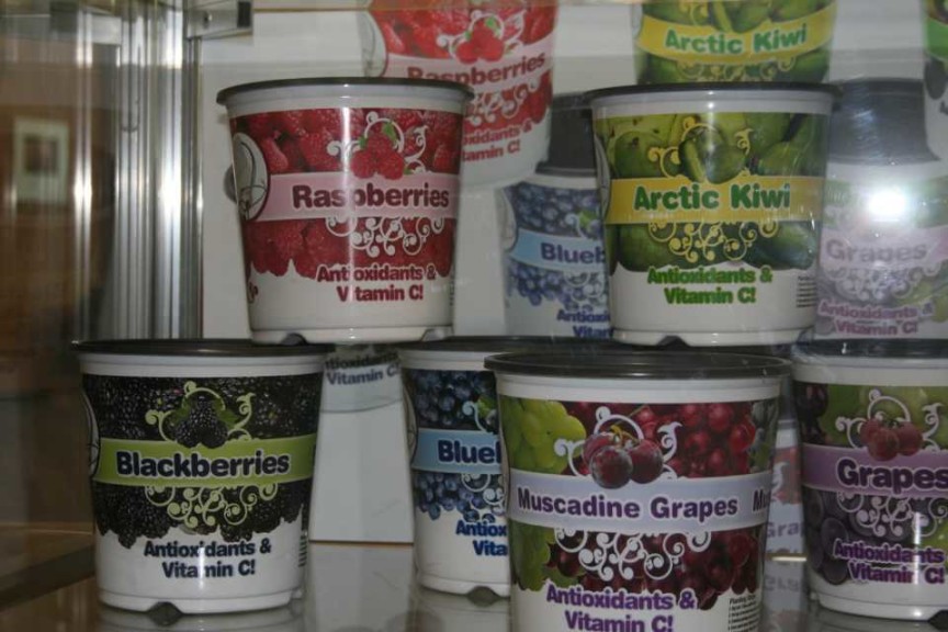 Summit Plastic Company fruit plant containers