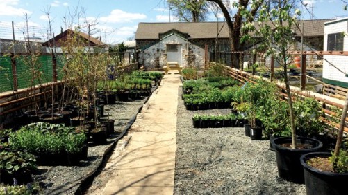 Roots To Re-Entry Transforms Lives