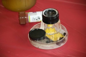 Cultivate'15 Greenhouse Learning Tour