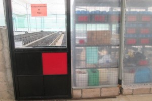 Dümmen Orange Upgrades Phytosanitary Standards On All Farms