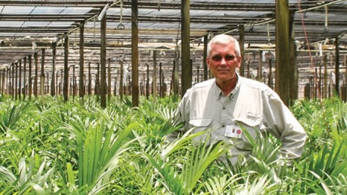 Delray Plants Takes Preventative Approach To Pest Control With Biological Controls